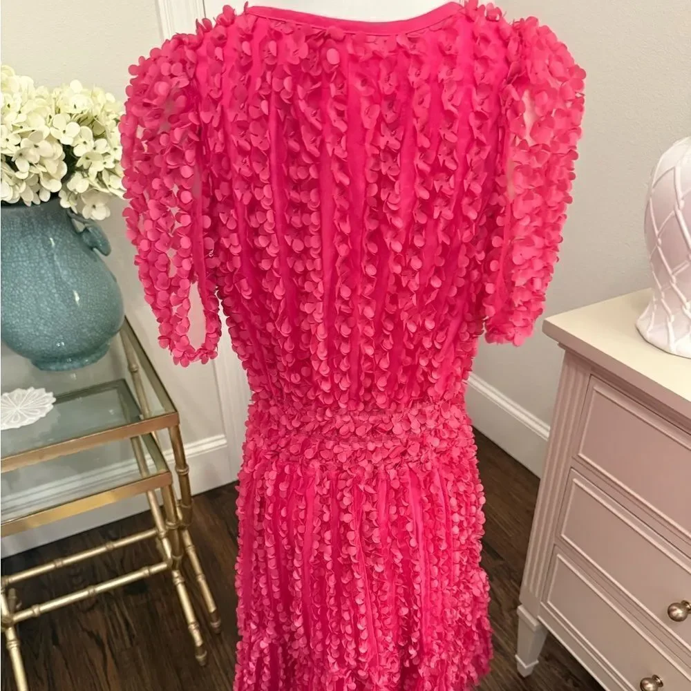 The Somerset Mini Dress: Floral Appliqué Edition AA2